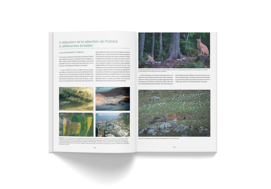 Habitat du lynx, extrait du livre Le Lynx boréal de Marine Drouilly