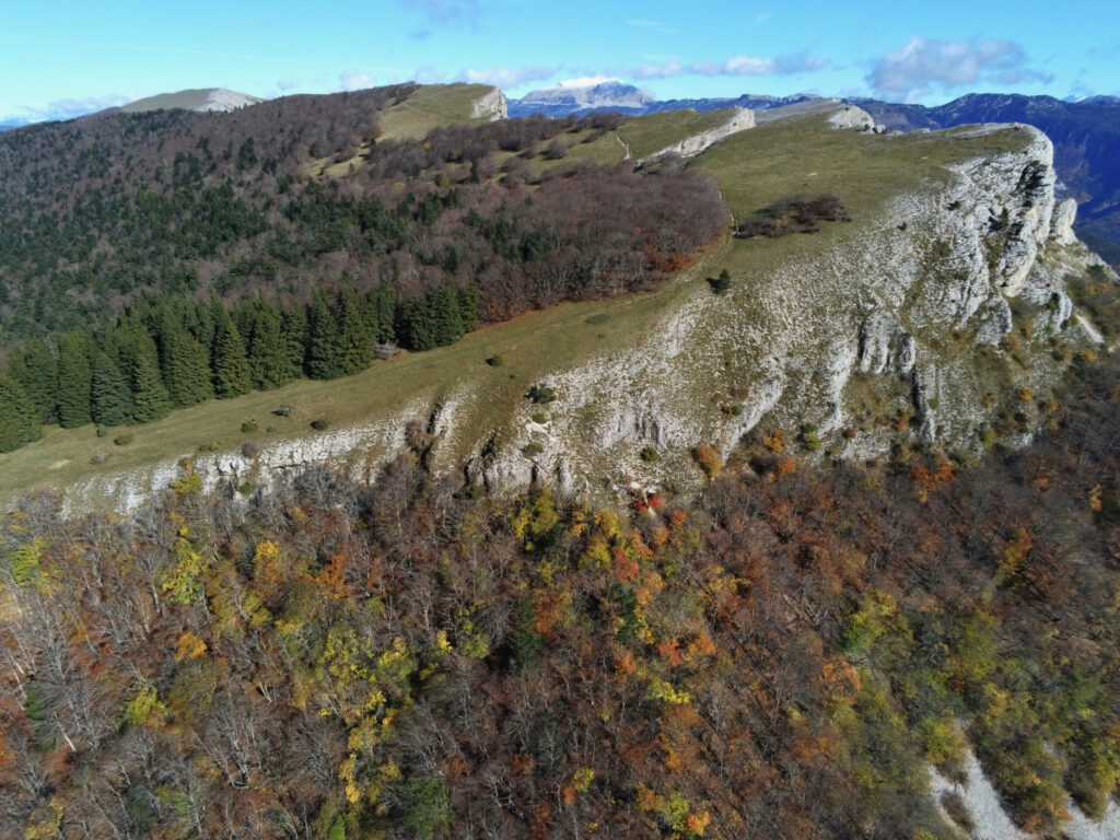 Forêt communale de Die à Vassieux-en-Vercors