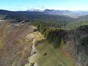 Vue du flanc de la forêt de Die