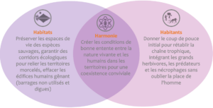 Habitats, habitants et harmonie, les 3 "H" au coeur de la logique de renaturation