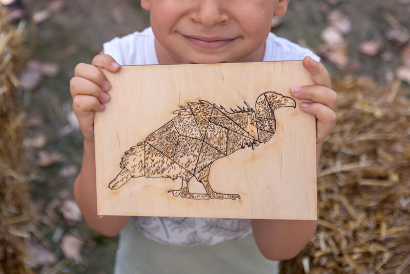 International vulture awareness day 2023, Madzharovo, Bulgaria